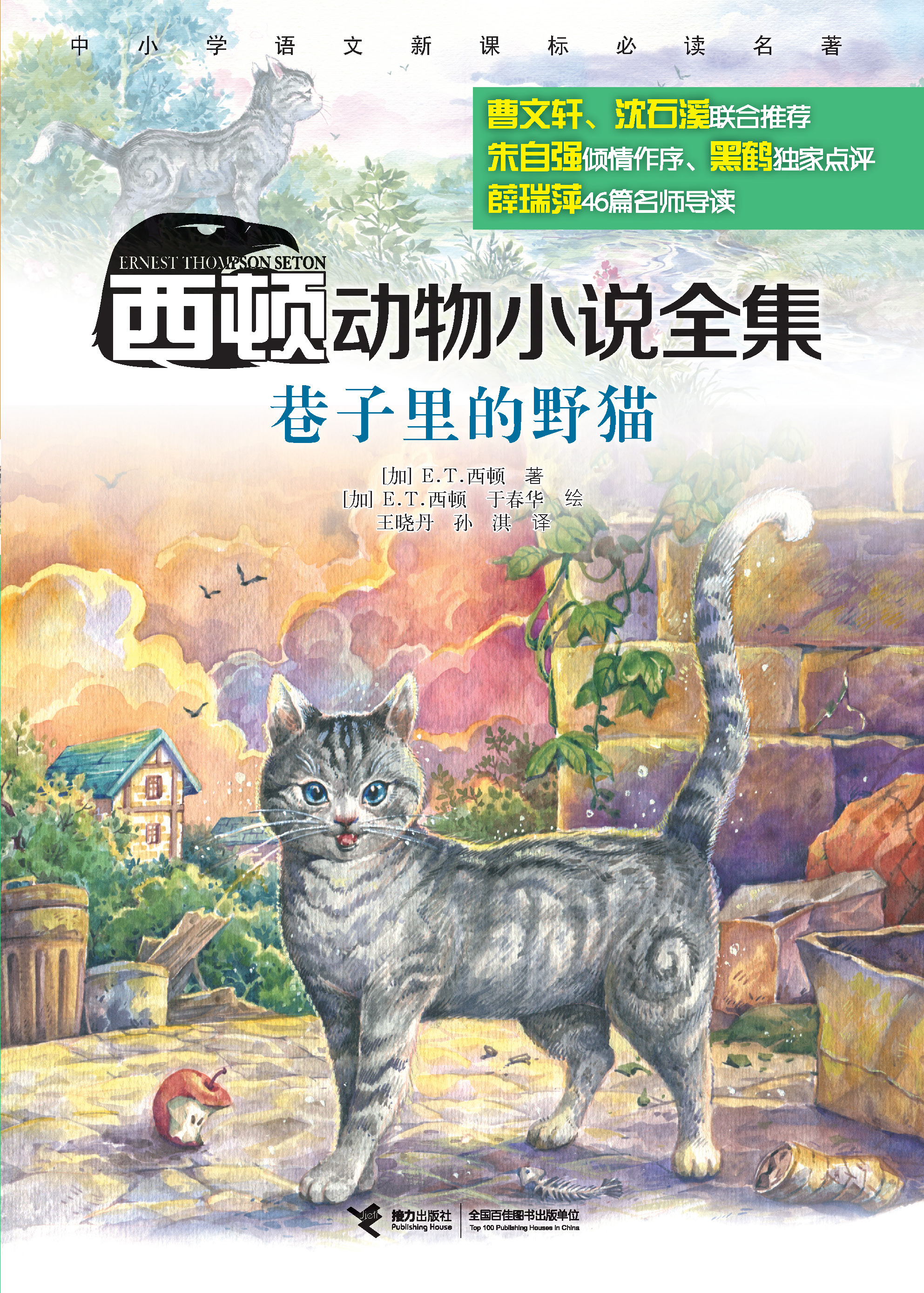 西顿动物小说全集:巷子里的野猫